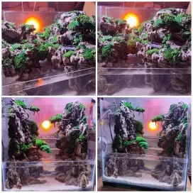 Paludarium Aquarium Aquascape Akuarium fullset siap kirim dan pakai