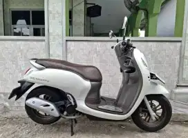 Honda Scoopy 2023