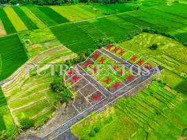 TANAH KEDUNGU DEKAT CANGGU ONE GATE JL 6 METER