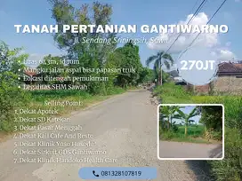 TANAH PERTANIAN PINGGIR JL SENDANG SRININGSIH, GANTIWARNO, KLATEN