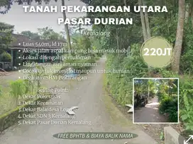 PEKARANGAN DITENGAH PEMUKIMAN DEKAT PASAR DURIAN KEMALANG