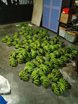 Pegawai jualan buah