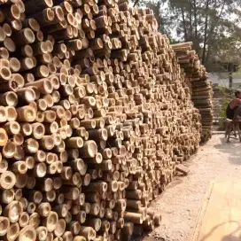 Jual bambu 6/7 - 10/12
