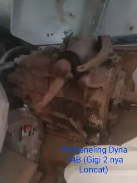 Perseneling Dyna 14B