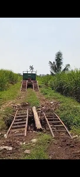 Tanah Kebun tebu Murah  lokasi Pakisaji