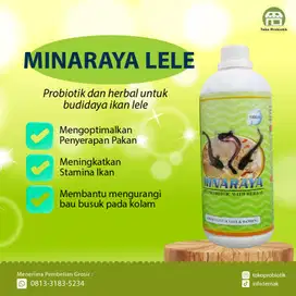 Probiotik dan Herbal Penggemuk Ikan Lele - Minaraya Lele