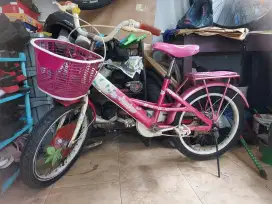 Sepeda anak perempuan wimcycle 18