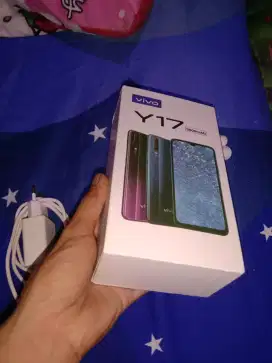 VIVO Y17 (8/256)