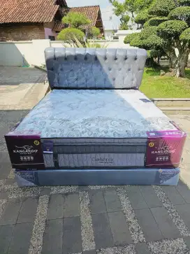 Matras springbed kasur fulset kangaroo canberra pocket latex