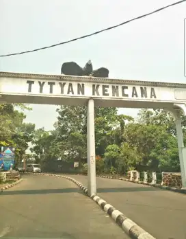 Jual cepat rmh tinggal di perumahan Tytyan kencana sumarecon Bekasi