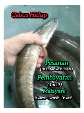 Bahan kuliner paska persalinan