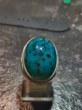 Bacan Totol Jumbo