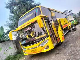 Sewa bus pariwisata