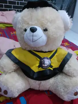 Boneka Wisuda Teddy Bear