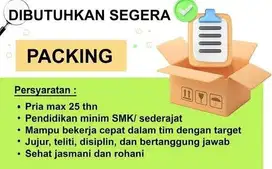 Lowongan Kerja packing Online Shop teluk naga