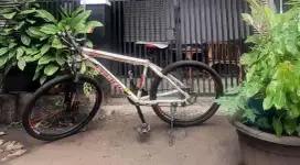 sepedah mtb pacivic 26 invert LX dewasa