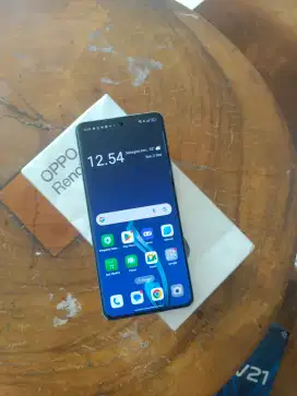 Oppo Reno 10 5G garansi 9 bulan like new