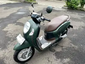 HONDA SCOOPY 2024