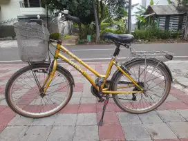 City bike Polygon Vista 24