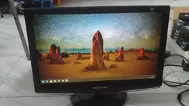 Monitor LCD Samsung 19in