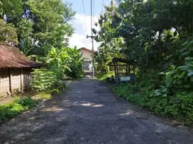 Tanah hook dijual dekat candi Ratu Boko, Lt 324m2