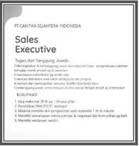 Sales executive