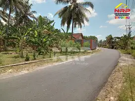 Dijual Tanah Murah di tepi Jl.Tunggul Wulung, Cluring  - Banyuwangi