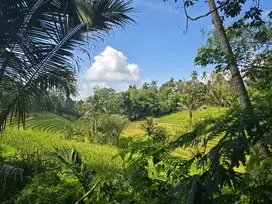 DIJUAL TANAH LOS SUNGAI DAN VIEW  SAWAH CANTIK DI TABANAN BALI