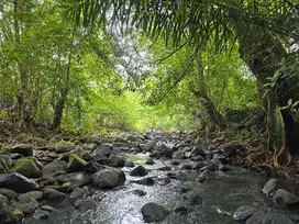 DIJUAL TANAH LOS SUNGAI BEBATUAN DI SEBELAH SUDAH ADA VILLA  DI BALI