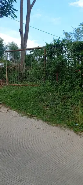 DI JUAL TANAH AREA WISATA PACET VIEW HUTAN LINDUNG PINUS PERHUTANI