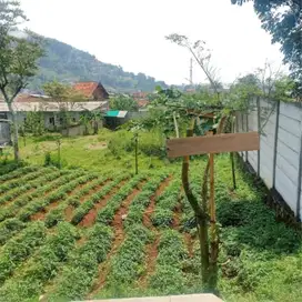 DIJUAL TANAH STRATEGIS UNTUK VILLA, KEBUN, PETERNAKAN DLL