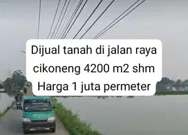 Tanah di pinggir jalan raya cikoneng belakang podomoro 1 juta permeter