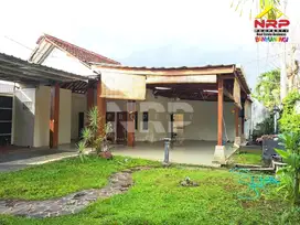 Dijual Tanah Bonus Bangunan Rumah Joglo di Perum. GPI Rogojampi - Bwi