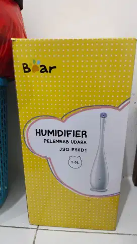 Humidifier bear