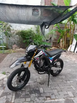 di jual crf basic MP mono