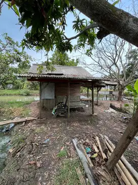 DIJUAL EMPANG DAN ADA POHON MANGGA