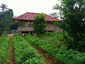 Dijual Murah rumah villa + Kebun 619 m2 Udara Dingin Bojong Purwakarta