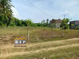 Dijual Tanah Murah Siap Bangun di Rejosari Glagah Banyuwangi