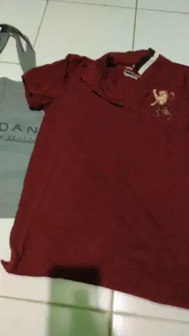 Polo Giordano original 3d lion