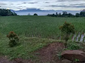 Tanah kebun view kota bandung, cimanggung parakan muncang