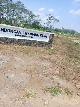 TANAH TERMURAH DEPAN UNTIDAR BANDONGAN MAGELANG