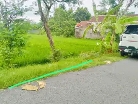 DIJUAL SAWAH DI BANTUL, SELATAN PUSKESMAS JETIS TRIMULYO JK12964