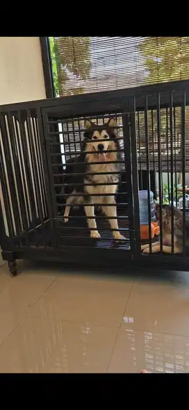 Kandang Anjing Besar Portable Metal Tebal