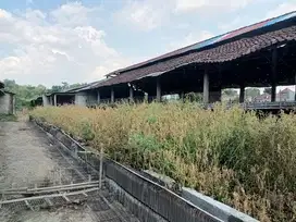 Tanah Ex Peternakan Ayam Jombang