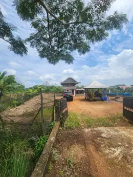 JUAL TANAH KEBUN MANGGA LOKASI KENTEN LAUT