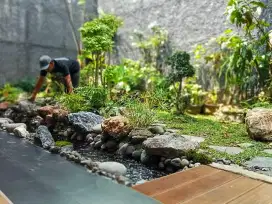 Kolam Ikan Koi Murah Bergaransi