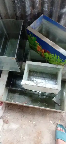 Aquarium berbagai ukuran