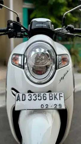 Honda SCOOPY STYLISH Plat AD Siap Pakai