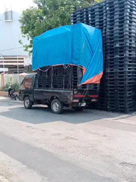 Distributor pallet plastik bekas murah palet plastik second bisa kirim