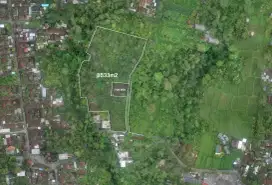 Di Jual Tanah Lokasi Payangan Ubud